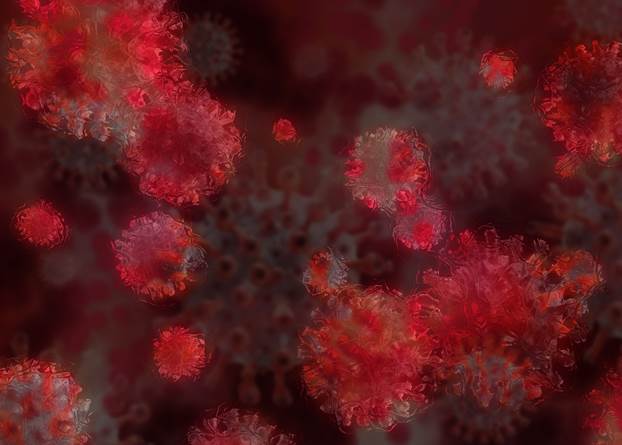 Network World News Magazine