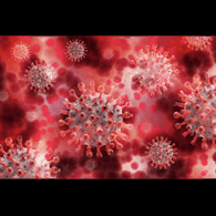 Network World News Article - Corona Virus