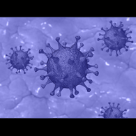 Network World News Article Covid-19 Updates